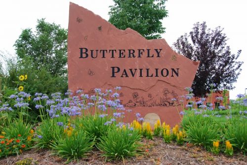 Children’s Butterfly Pavilion Day