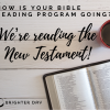 Bible Reading Program 